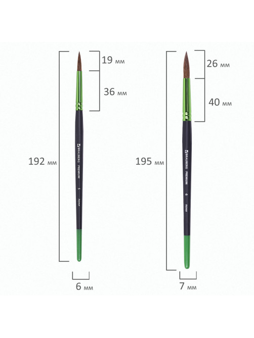 Кисти BRAUBERG PREMIUM, набор 10 шт. (круглые пони - 5 шт., синтетика - 3 шт., плоские щетина - 2 шт.), блистер, 201023