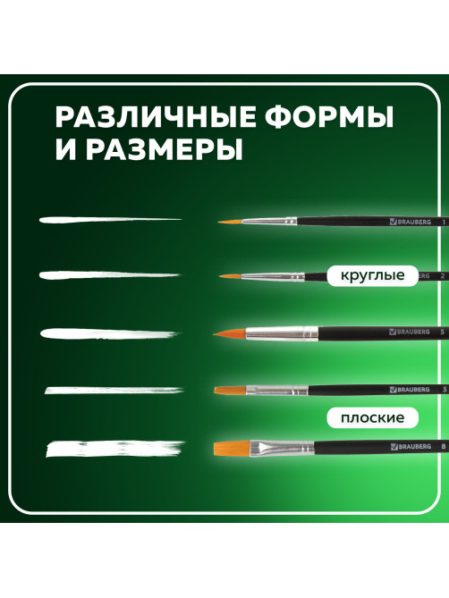 Кисти BRAUBERG, набор 5 шт. (синтетика, круглые № 1, 2, 5, плоские № 5, 8), блистер, 200219