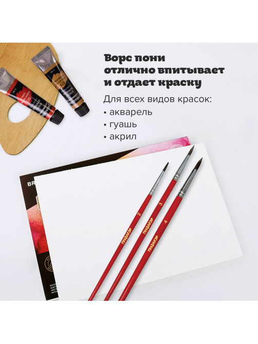 Кисти ПИФАГОР, набор 3 шт. (ПОНИ: круглые № 2, 3, 4), пакет с европодвесом, 200227