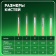 Кисти BRAUBERG, набор 5 шт. (пони, круглые № 1, 2, 3, 4, 5), блистер, 200222