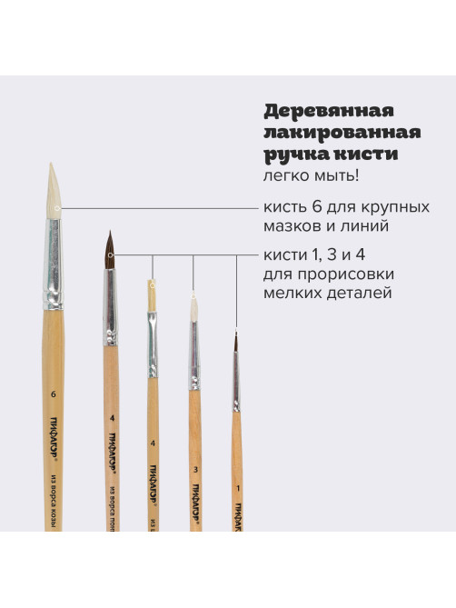 Кисти ПИФАГОР, набор 5 шт. (ПОНИ: круглые № 1, 4; КОЗА: круглые № 3, 6; ЩЕТИНА: плоская № 4), пакет с европодвесом, 200892