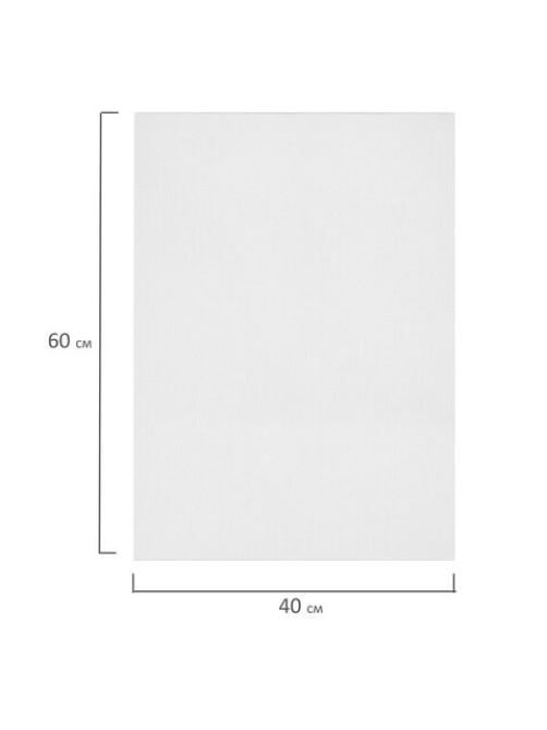Холсты на картоне НАБОР 2 штуки (40х60 см), хлопок, грунт, 280 г/м2, BRAUBERG ART CLASSIC, 192656