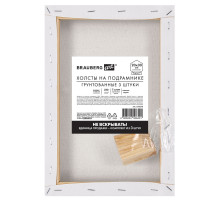Холсты на подрамнике, набор 3 штуки, BRAUBERG ART BASIC, 20х30 см, 280 г/м2, хлопок, грунт, 192676