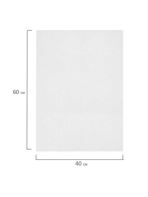 Холсты на картоне НАБОР 2 штуки (40х60 см), хлопок, грунт, 280 г/м2, BRAUBERG ART CLASSIC, 192656