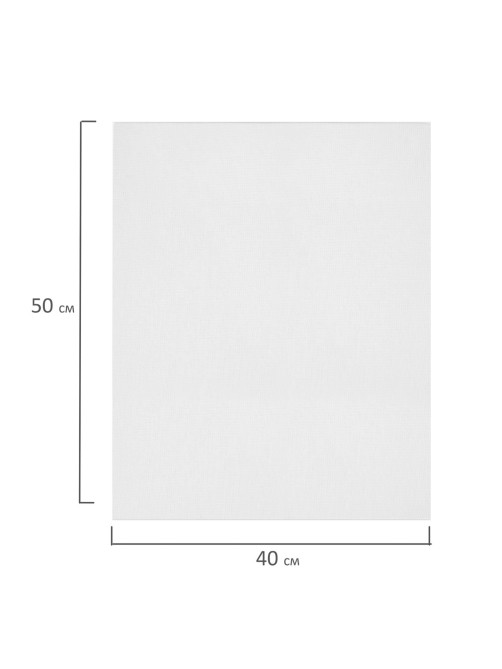 Холсты на картоне НАБОР 2 штуки (40х50 см), хлопок, грунт, 280 г/м2, BRAUBERG ART CLASSIC, 192655