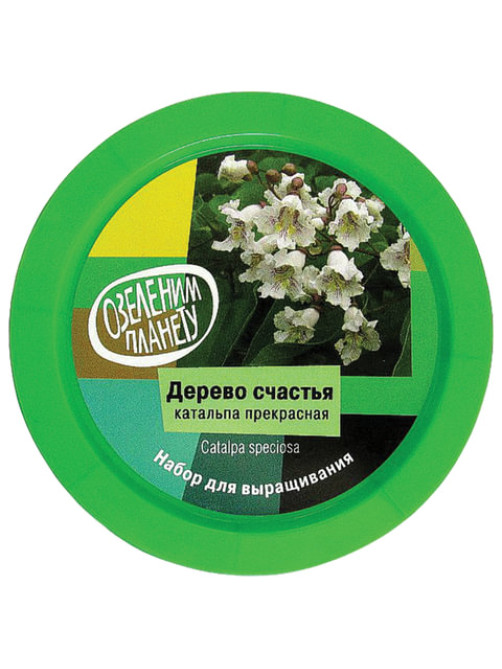 Набор для выращивания растений ВЫРАСТИ ДЕРЕВО! 