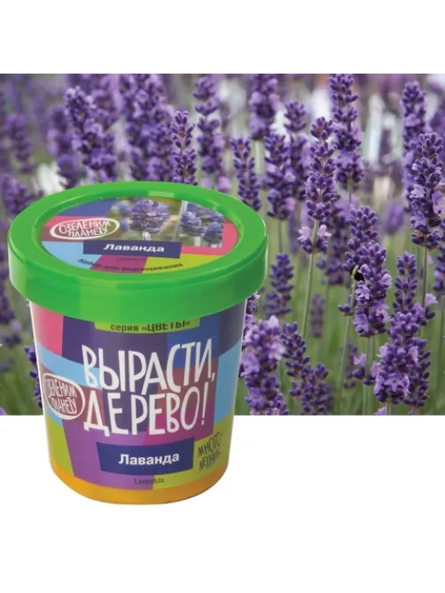 Набор для выращивания растений ВЫРАСТИ ДЕРЕВО! 