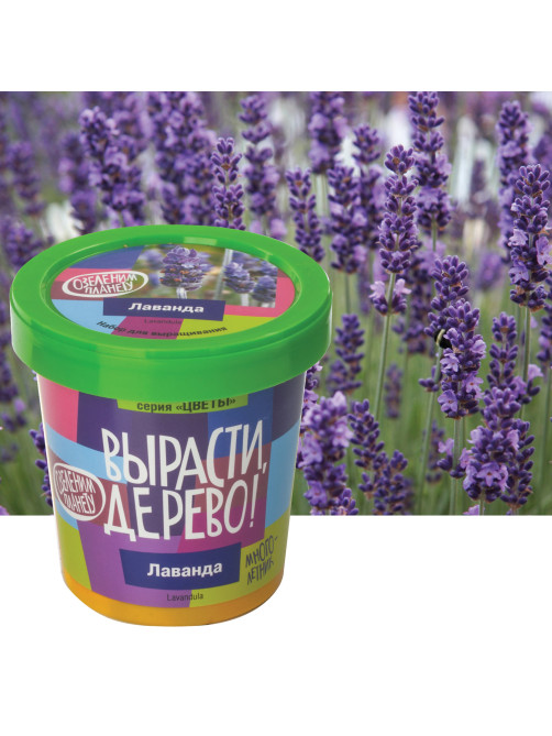 Набор для выращивания растений ВЫРАСТИ ДЕРЕВО! 