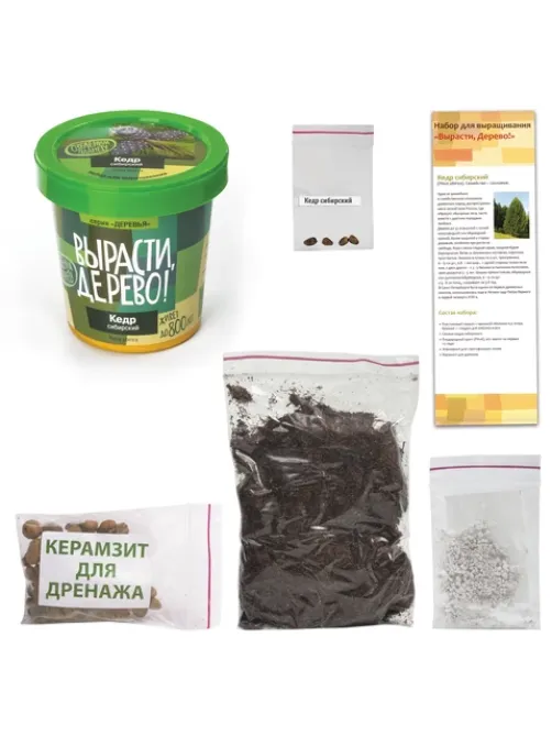 Набор для выращивания растений ВЫРАСТИ ДЕРЕВО! 