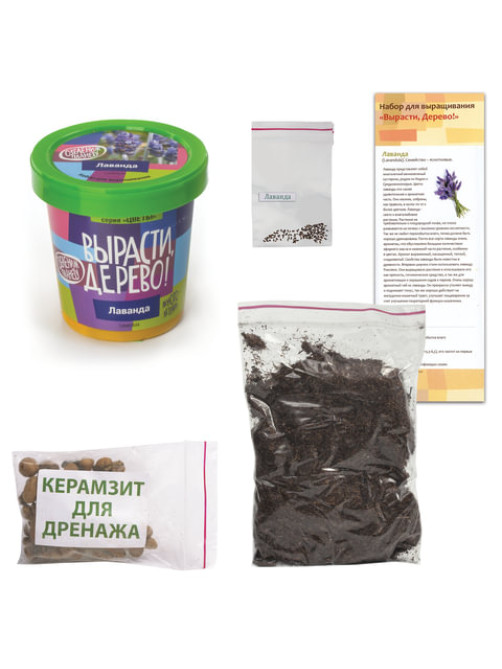 Набор для выращивания растений ВЫРАСТИ ДЕРЕВО! 