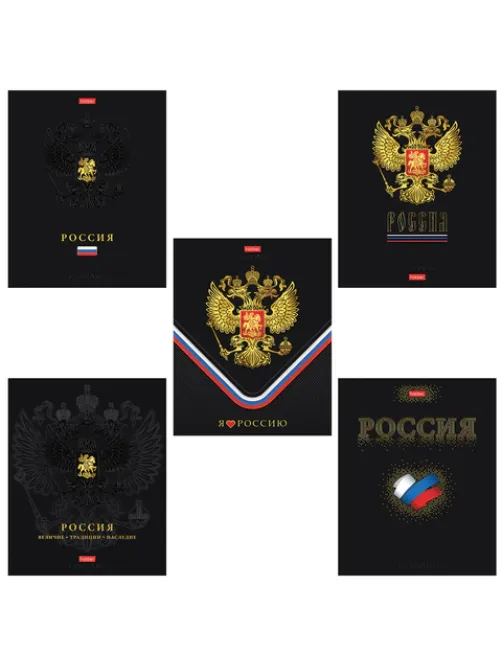 Тетрадь А5 48 л., HATBER, скоба, клетка, матовая ламинация, 3D-фольга, 3D-лак, Россия (микс), 093210, 48Т5лофлВ1