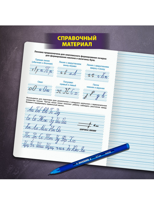 Тетради ДЭК 12 л. КОМПЛЕКТ 10 шт. ПРОПИСЬ № 1 частая косая линия С ДОПОЛНИТЕЛЬНОЙ ГОРИЗОНТАЛЬНОЙ, со справочным материалом, ЮНЛАНДИЯ, 404860