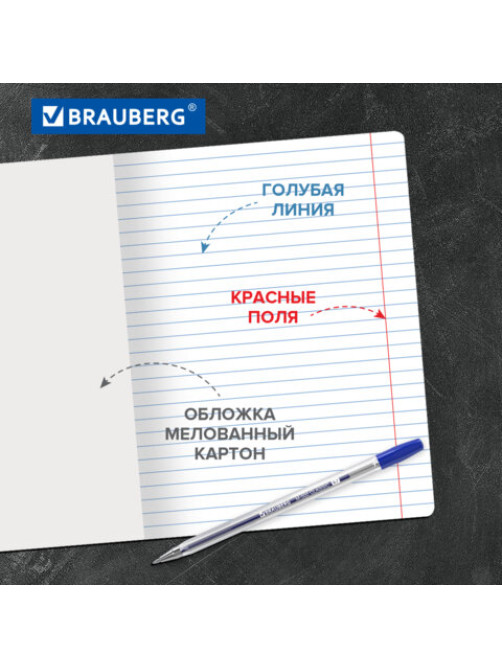 Тетради ДЭК 24 л., КОМПЛЕКТ 10 шт., BRAUBERG 