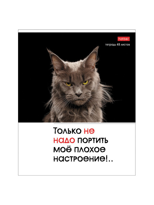 Тетрадь А5 48 л., HATBER скоба, клетка, обложка картон, 
