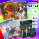 Тетради ДЭК А5 48 л. КОМПЛЕКТ 5 шт., BRAUBERG скоба, клетка, глянцевый лак, 