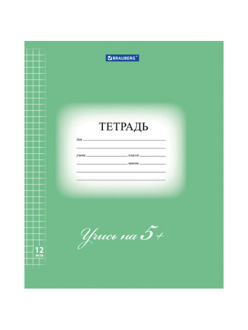 Тетрадь 12 л. BRAUBERG ЭКО 