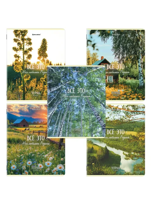 Тетрадь А5, 48 л., BRAUBERG, скоба, клетка, глянцевый лак, 