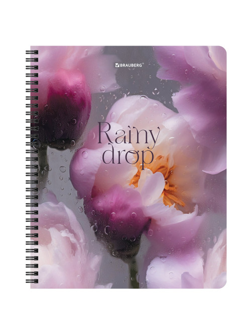 Тетради ДЭК А5 48 л. КОМПЛЕКТ 4 шт., BRAUBERG, гребень, клетка, 80 г/м2, Soft-Touch, 