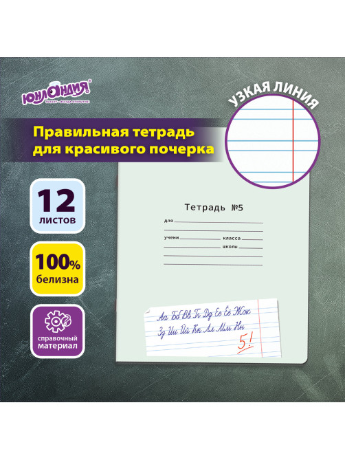 Тетрадь ПРОПИСЬ № 5 12 л. узкая линия, со справочным материалом, обложка картон, ЮНЛАНДИЯ, 404850
