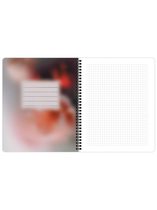 Тетради ДЭК А5 48 л. КОМПЛЕКТ 4 шт., BRAUBERG, гребень, клетка, 80 г/м2, Soft-Touch, 