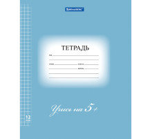 Тетрадь 12 л. BRAUBERG ЭКО 