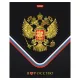 Тетрадь А5 48 л., HATBER, скоба, клетка, матовая ламинация, 3D-фольга, 3D-лак, Россия (микс), 093210, 48Т5лофлВ1