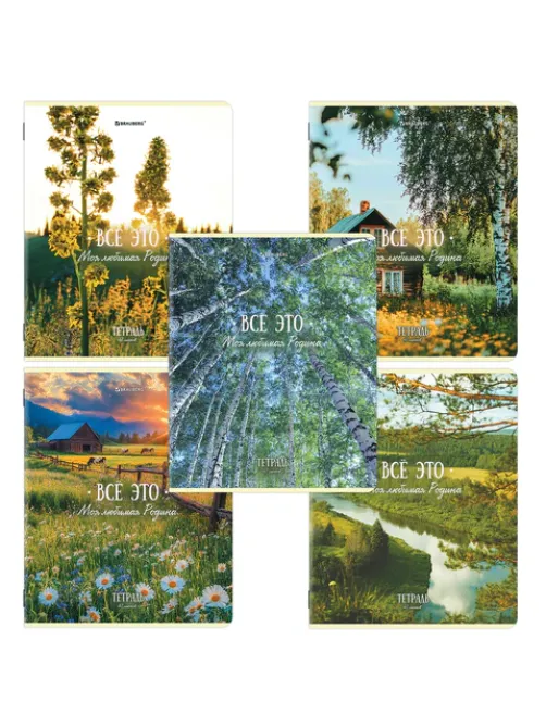 Тетрадь А5, 48 л., BRAUBERG, скоба, клетка, глянцевый лак, 