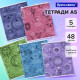 Тетради ДЭК А5 48 л. КОМПЛЕКТ 5 шт. BRAUBERG, скоба, клетка, SoftTouch, фольга, 