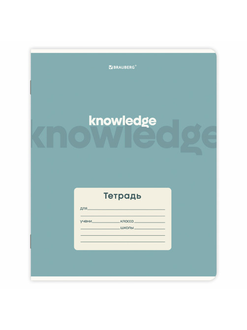Тетради ДЭК 24 л. КОМПЛЕКТ 10 шт. BRAUBERG, клетка, обложка картон, 