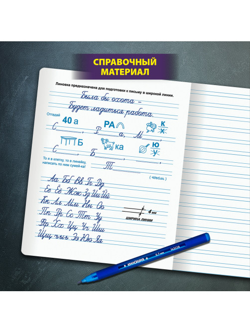 Тетрадь ПРОПИСЬ № 5 12 л. узкая линия, со справочным материалом, обложка картон, ЮНЛАНДИЯ, 404850