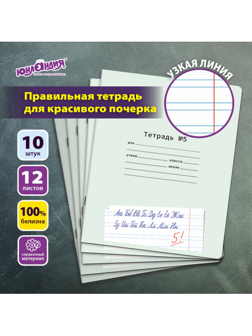 Тетради ДЭК 12 л. КОМПЛЕКТ 10 шт. ПРОПИСЬ № 5 узкая линия, со справкой, ЮНЛАНДИЯ, 404856