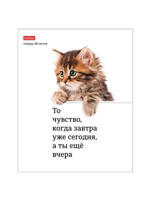 Тетрадь А5 48 л., HATBER скоба, клетка, обложка картон, 