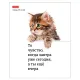 Тетрадь А5 48 л., HATBER скоба, клетка, обложка картон, 