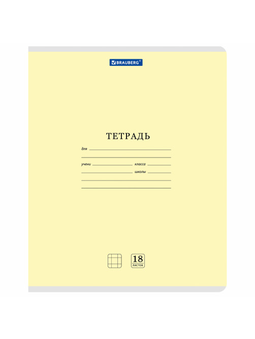 Тетради ДЭК 18 л., КОМПЛЕКТ 10 шт., BRAUBERG 
