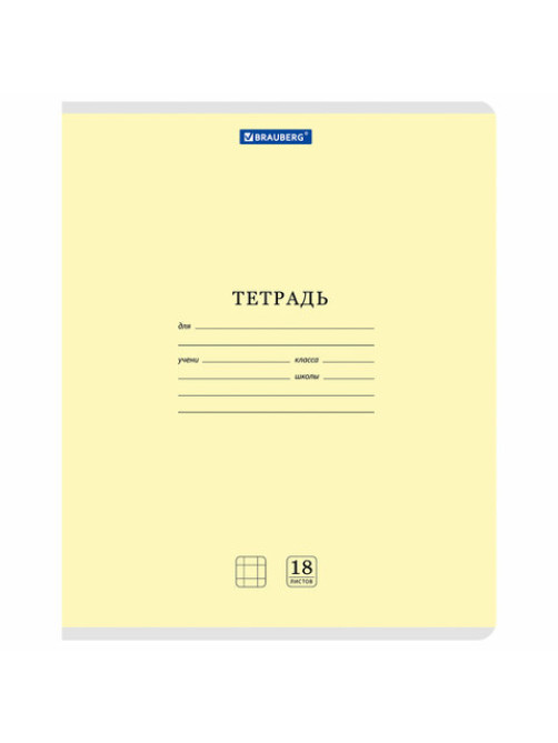 Тетради ДЭК 18 л., КОМПЛЕКТ 10 шт., BRAUBERG 