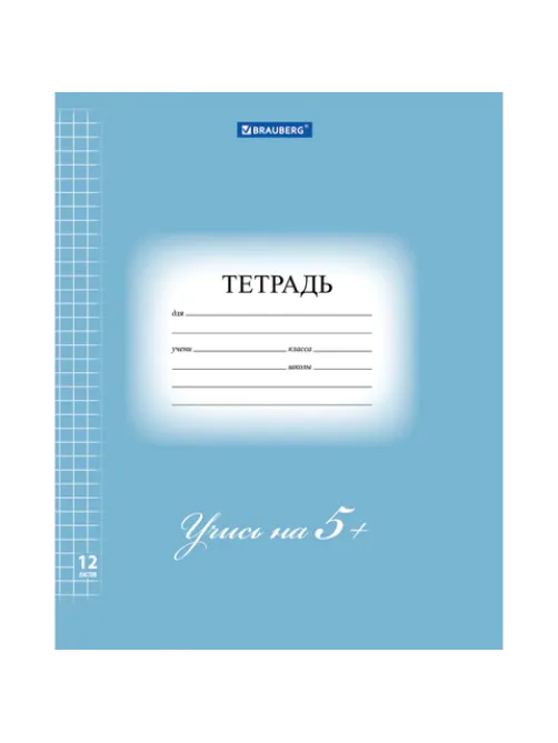 Тетрадь 12 л. BRAUBERG ЭКО 