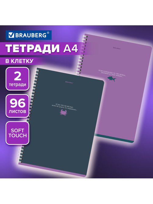 Тетради ДЭК А4 96 л. КОМПЛЕКТ 2 шт. BRAUBERG гребень, клетка, Soft Touch, MONOCOLOR, 404647
