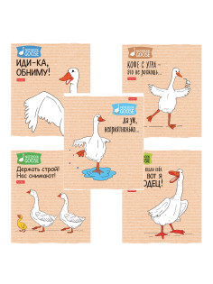Тетрадь А5 48 л., HATBER скоба, клетка, обложка картон, 