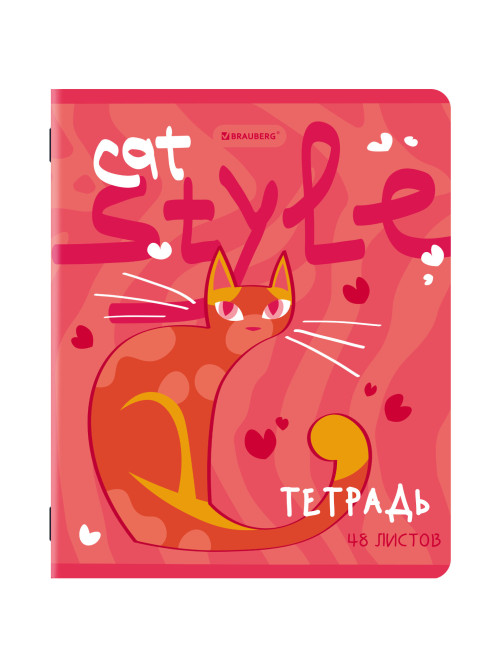 Тетради ДЭК А5 48 л. КОМПЛЕКТ 5 шт. BRAUBERG, скоба, клетка, TWIN-лак, 