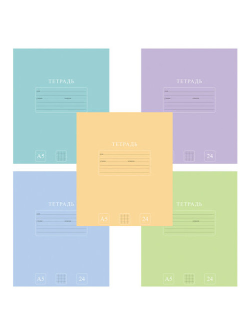 Тетрадь 24 л., HATBER-ECO клетка, офсет №2 ЭКОНОМ, обложка картон, PUREcolour (микс в спайке), 092112, 24Т5C1