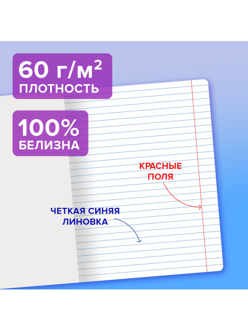 Тетрадь пластиковая обложка (прозрачная) 12 листов, линия, BRAUBERG 