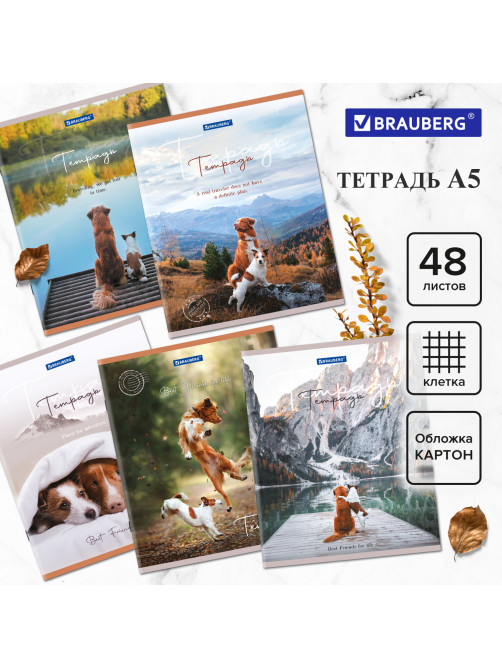 Тетрадь А5 48 л. BRAUBERG скоба, клетка, обложка картон, 