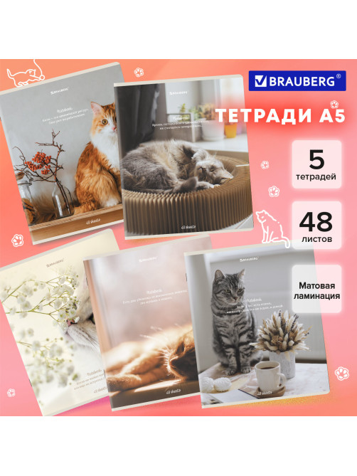 Тетради ДЭК А5 48 л. КОМПЛЕКТ 5 шт. BRAUBERG, скоба, клетка, матовая ламинация, 