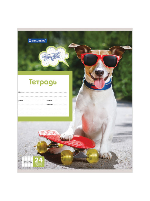 Тетрадь 24 л. BRAUBERG, клетка, обложка картон, MY BEST FRIEND, 403007