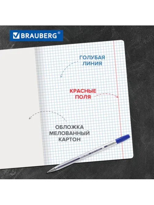 Тетради ДЭК 18 л., КОМПЛЕКТ 10 шт., BRAUBERG 