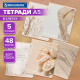 Тетради ДЭК А5 48 л. КОМПЛЕКТ 5 шт. BRAUBERG скоба, клетка, SoftTouch, 