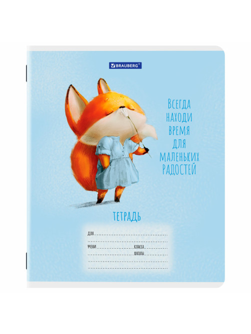 Тетради ДЭК 12 л., КОМПЛЕКТ 10 шт., BRAUBERG, клетка, обложка картон, 