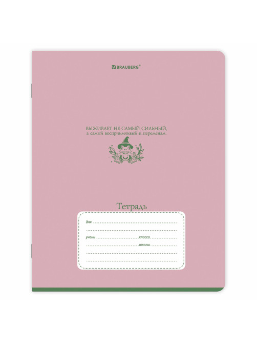 Тетради ДЭК 18 л. КОМПЛЕКТ 10 шт. BRAUBERG, линия, обложка картон, 