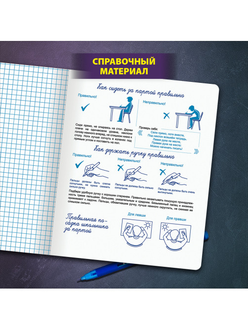 Тетради ДЭК 12 л. КОМПЛЕКТ 10 шт. ПРОПИСЬ № 6 клетка, со справочным материалом, ЮНЛАНДИЯ, 404855