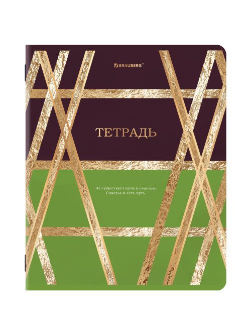 Тетради ДЭК А5 48 л. КОМПЛЕКТ 5 шт. BRAUBERG скоба, клетка, SoftTouch, фольга, GOLDY, 404925